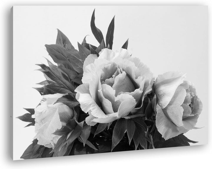 deyoli schöner Blumenstrauss mit Pfingstrosen Effekt: Schwarz/Weiss im Format: 60x40 als Leinwandbil