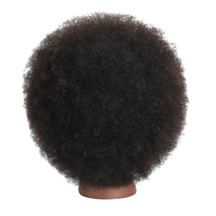 Training Head African American with 100% Human Hair Mannequin Head Cosmetology Afro Hair Manikin Hea