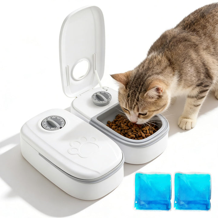 Katzenfutter Automat 2 Mahlzeiten, Futterautomat Katze Nassfutterautomat für Katzen, mit 48h Timer,