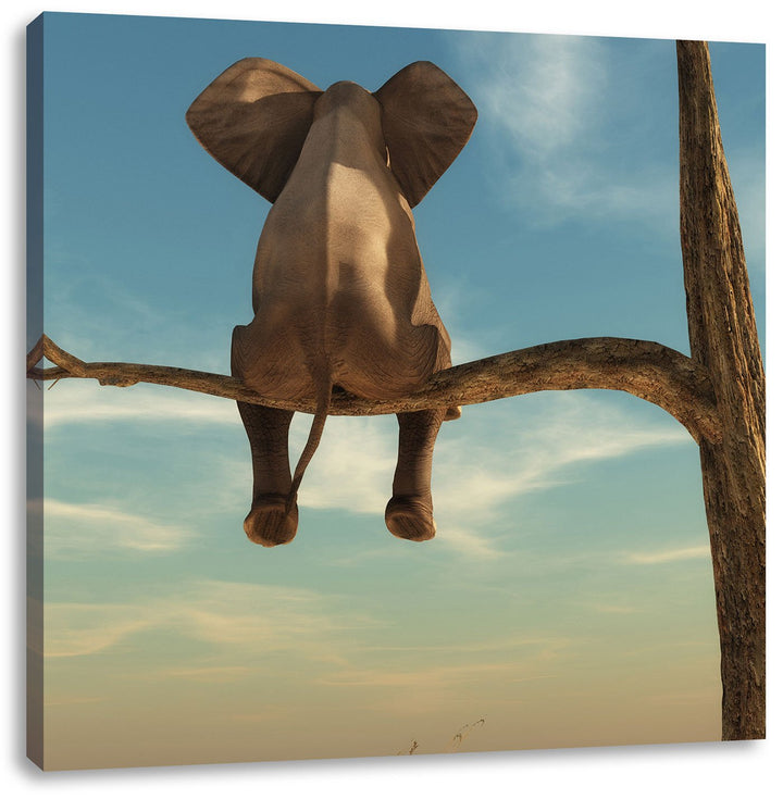 Pixxprint Elefant auf einem AST in der Wüste als Leinwandbild/Grösse: 70x70 cm/Wandbild/Kunstdruck/f
