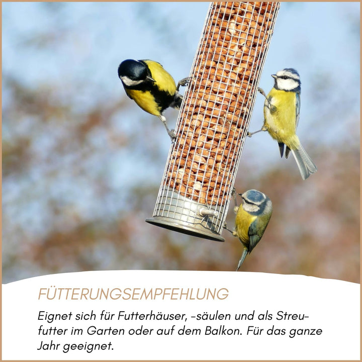 SUPRAVIT gehackte Erdnüsse Vogelfutter | fettreiche Erdnusskerne gehackt für Vögel | 2,5kg Erdnussbr