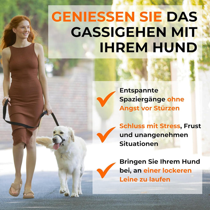 Canny Collar Halsband für Hunde, einfache und effektive Hilfe beim Hundetraining und verhindert das