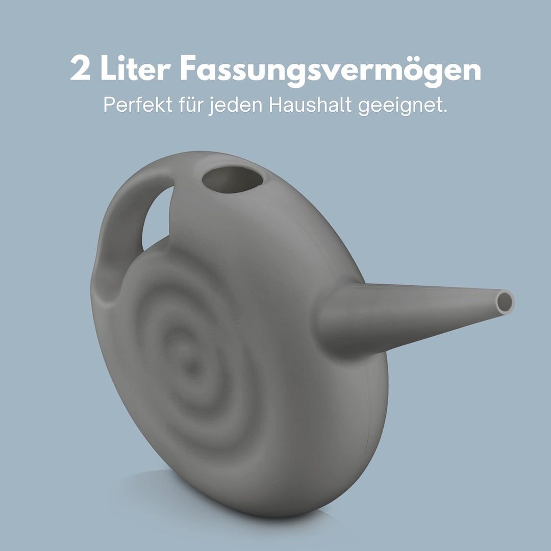 Giesskanne Silber - Giesskanne 2l - Giesskanne Zimmerpflanzen schmal - Robust für Innen und Aussen -