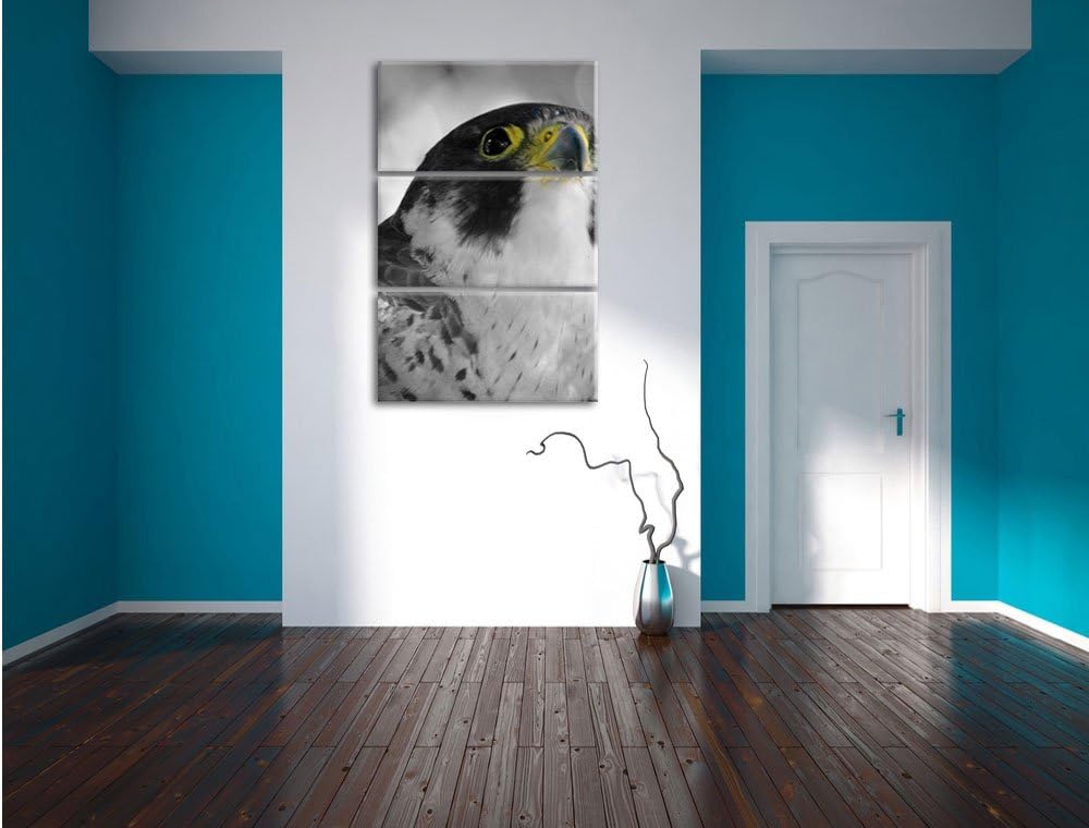 Pixxprint schöner anmutiger Adler / 3-Teilig/Gesamtmass 120cm Leinwandbild bespannt auf Holzrahmen/W