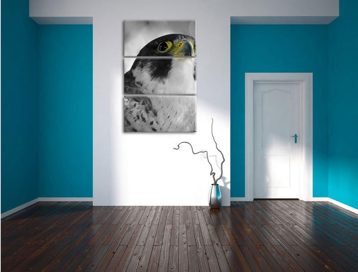 Pixxprint schöner anmutiger Adler / 3-Teilig/Gesamtmass 120cm Leinwandbild bespannt auf Holzrahmen/W