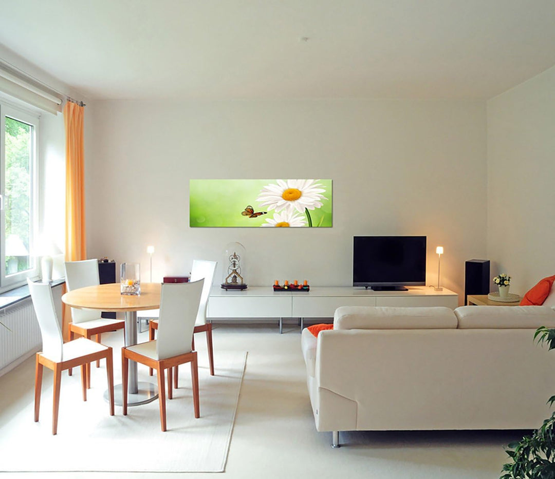 Paul Sinus Art Panoramabild auf Leinwand und Keilrahmen 150x50cm Gänseblümchen Schmetterling Frühlin