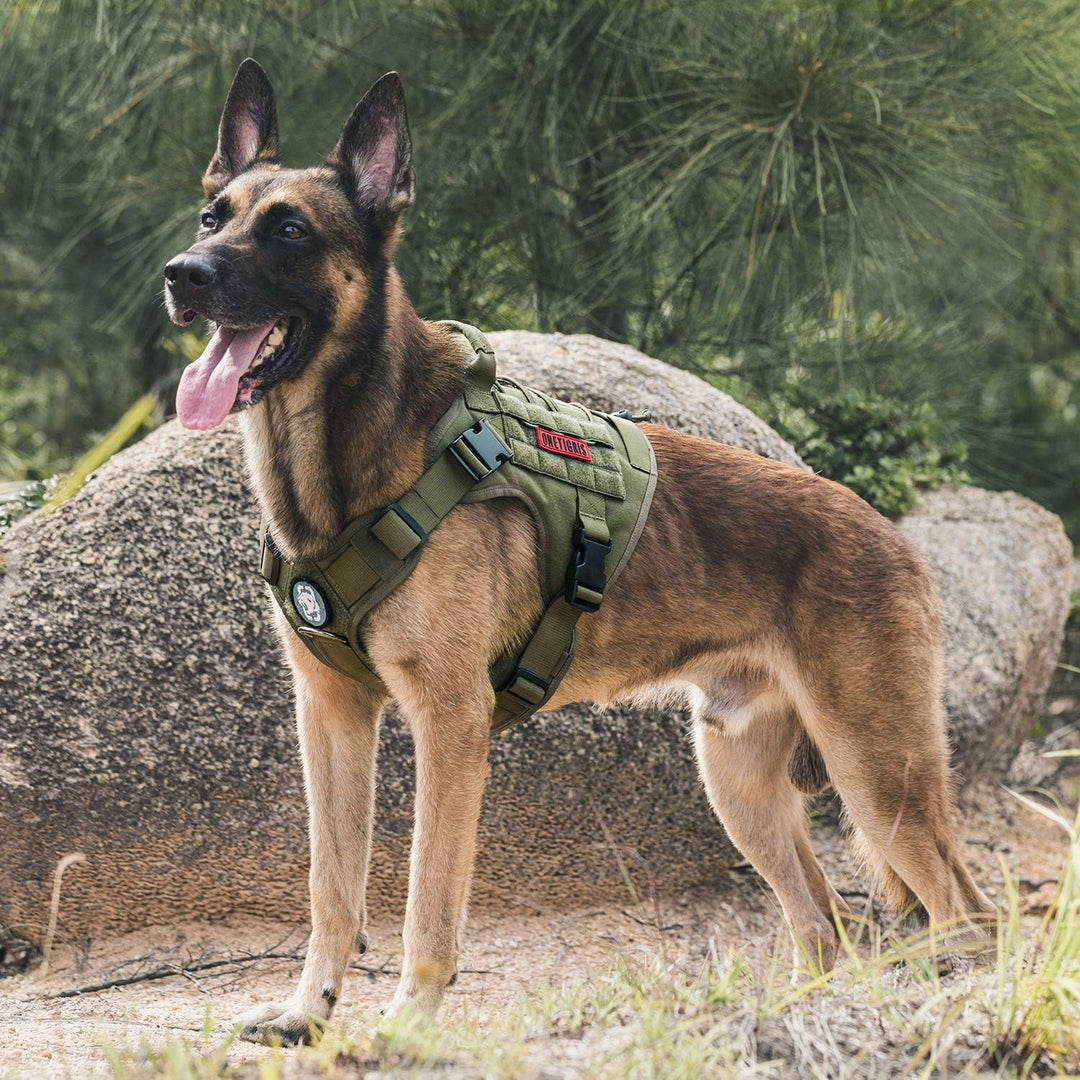 OneTigris Taktische Hundeweste Service Hundegeschirr MOLLE Hundeausbildung Geschirr 1000D Nylon (L,