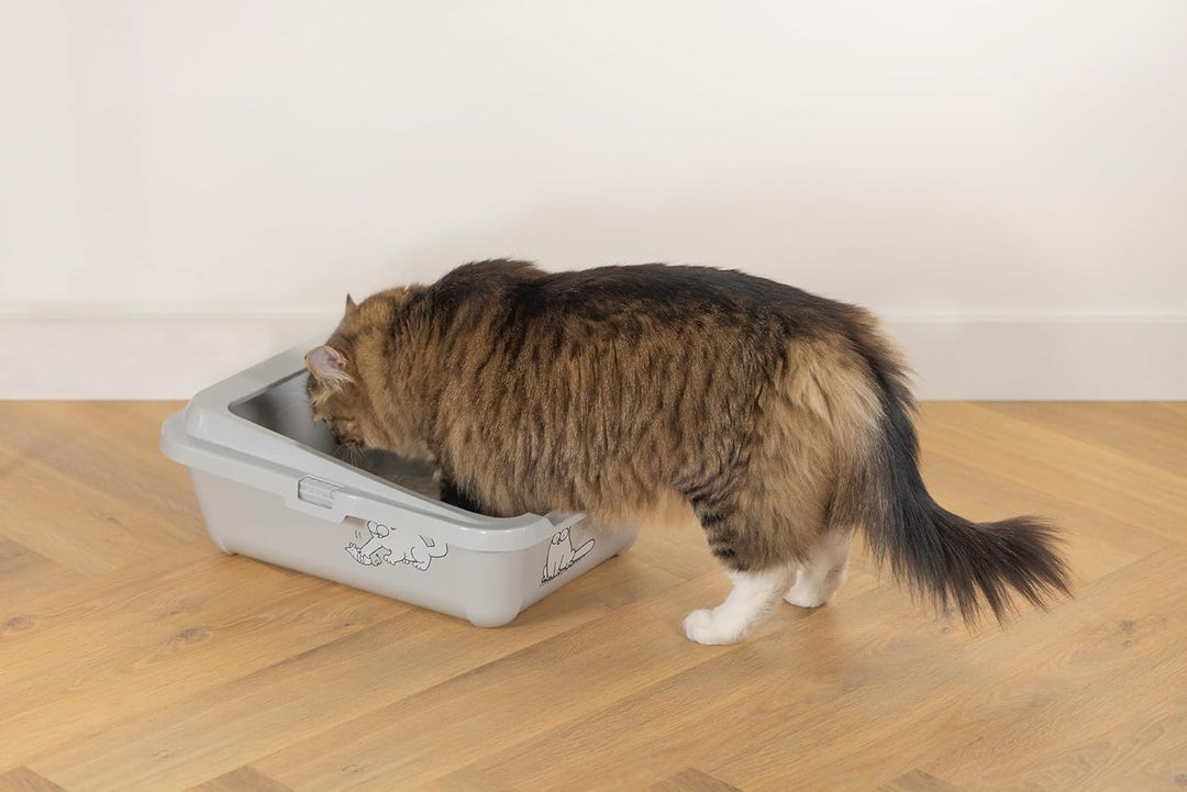 Simon's Cat, Katzentoilette mit Rand L: 43 cm B: 32 cm H: 16 cm grau grau L: 43 cm B: 32 cm H: 16 cm
