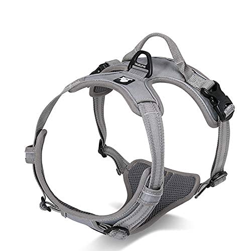 WINHYEPET Truelove Hundegeschirr No-Pull Reflektierendes verstellbar Haustiergeschirr mit 2 Leinencl