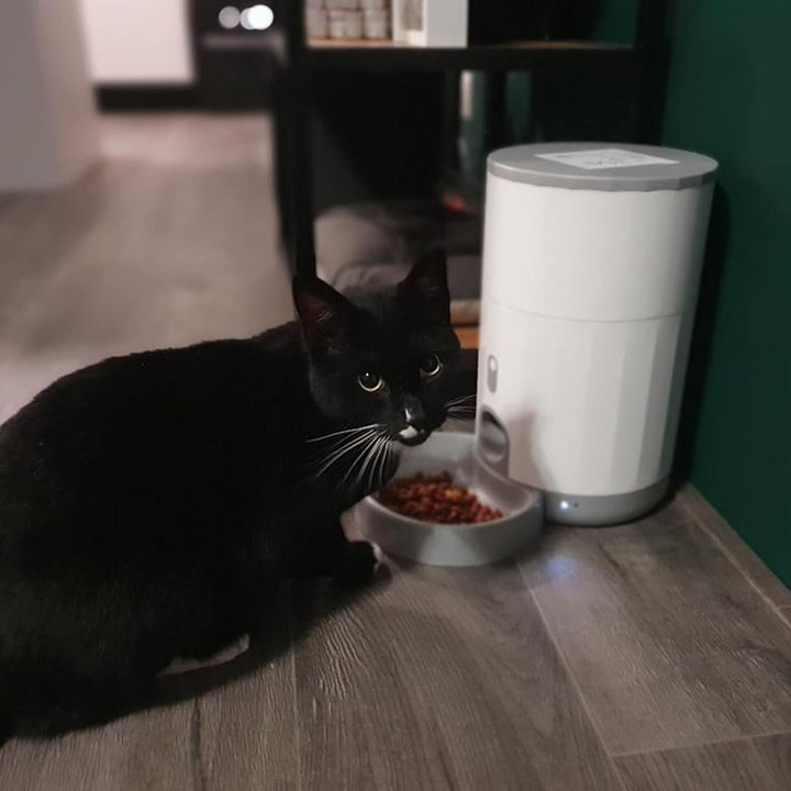 Pettadore Nutri Fresh - Futterautomat Katze/Hund - Smart und frisch mit Siegel, Automatischer Futter