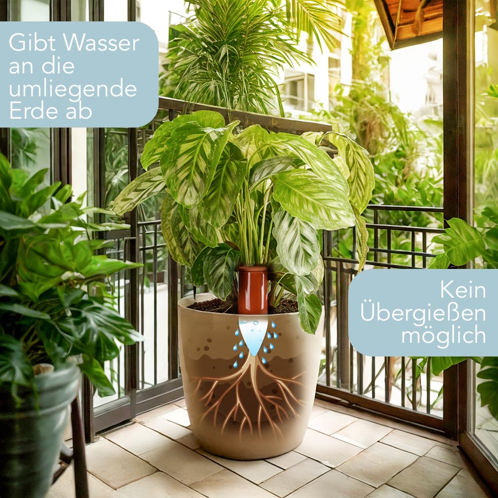 Terracotta Giesshilfe (3X 330 ml) handgefertigt für Bewässerung Zimmerpflanzen | Wasserstandsanzeige