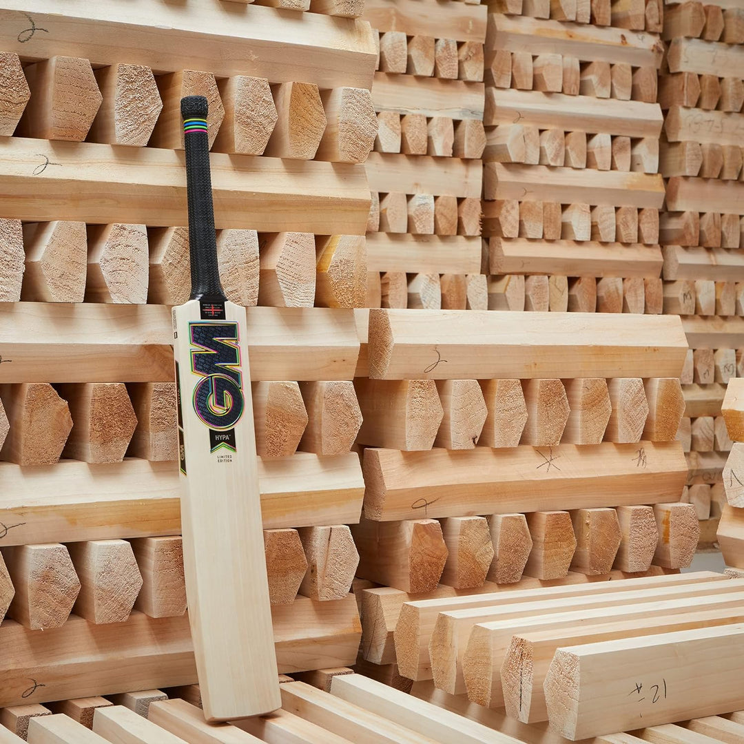 Gunn & Moore GM Cricketschläger | Hypa | English Willow | DXM, ToeTek und Now | L555 Klinge | erhält