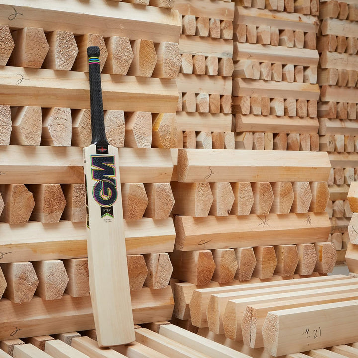 Gunn & Moore GM Cricketschläger | Hypa | English Willow | DXM, ToeTek und Now | L555 Klinge | erhält