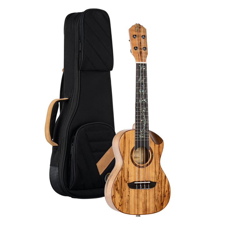 Ortega Guitars Konzert Ukulele elektro-akustisch - Elite Series - inklusive Gigbag - Solid Spalted M