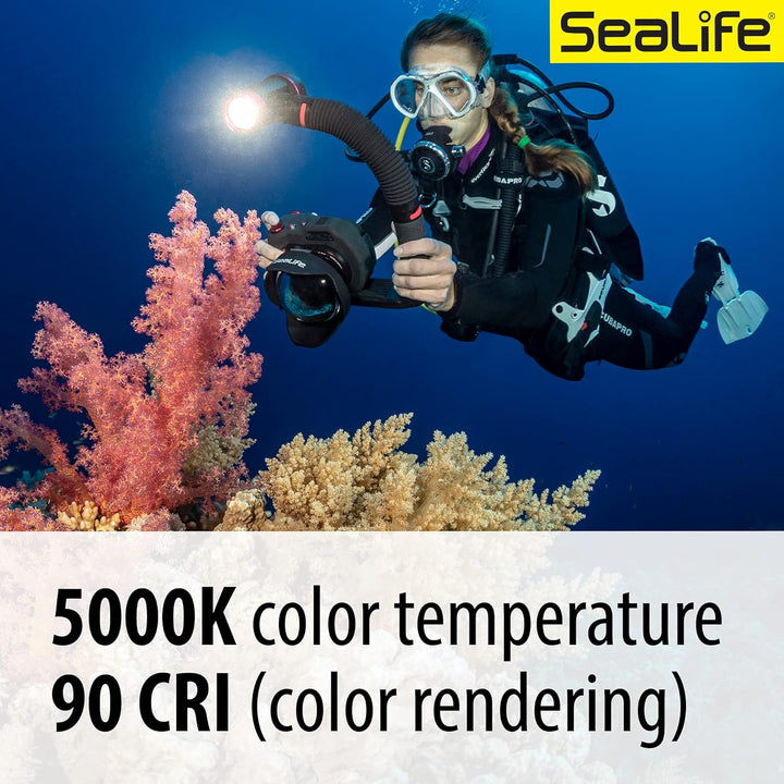 SeaLife Sea Dragon 2500 Foto/Video Tauchlampe Licht-Kit (SL671), Licht-Kit (SL671)