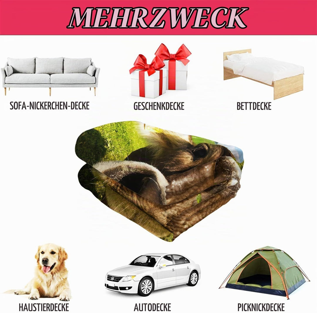 YISUMEI Decke 150x200 cm Kuscheldecken Sanft Flanell Weich Fleecedecke Bettüberwurf Alte Kuhfarm Küh