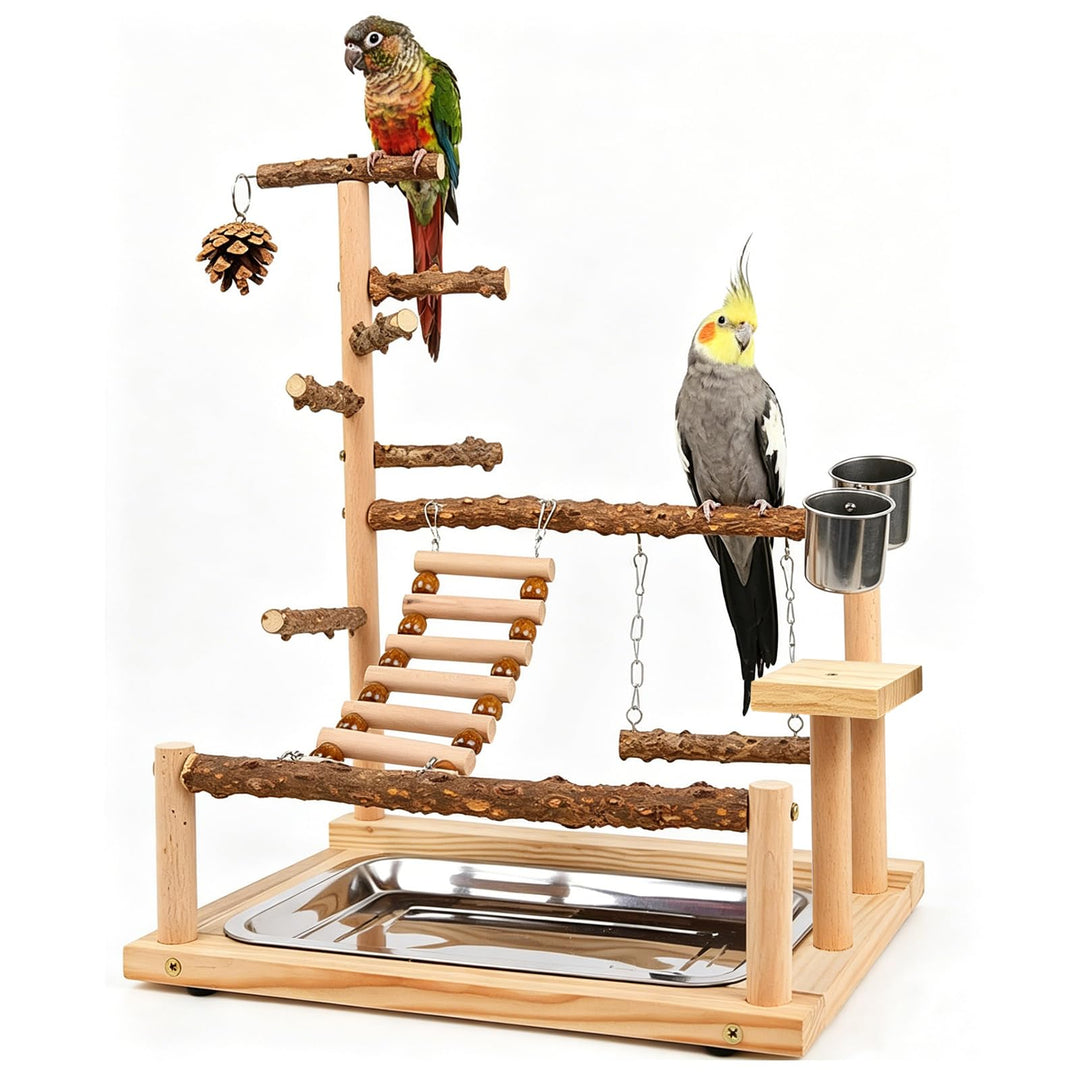 WishesMar Wellensittich Spielplatz Vogel-Spielplatz mit Feeder-Cup Spielzeug Leiter Erklimmen Schauk