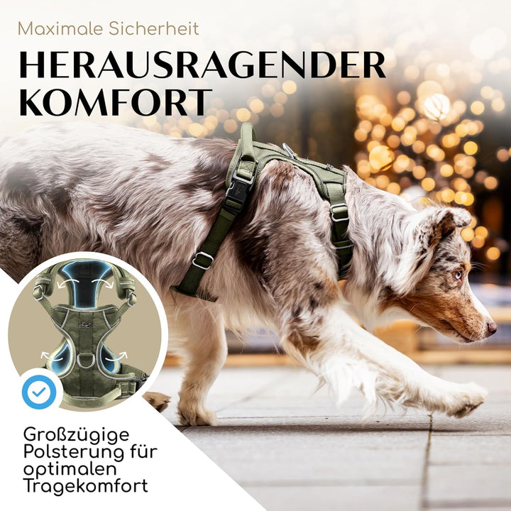 FREUDENTIER Hundegeschirr mit Mesh-Polsterung - Höchster Komfort, bombenfester Sitz &amp; maximale Siche