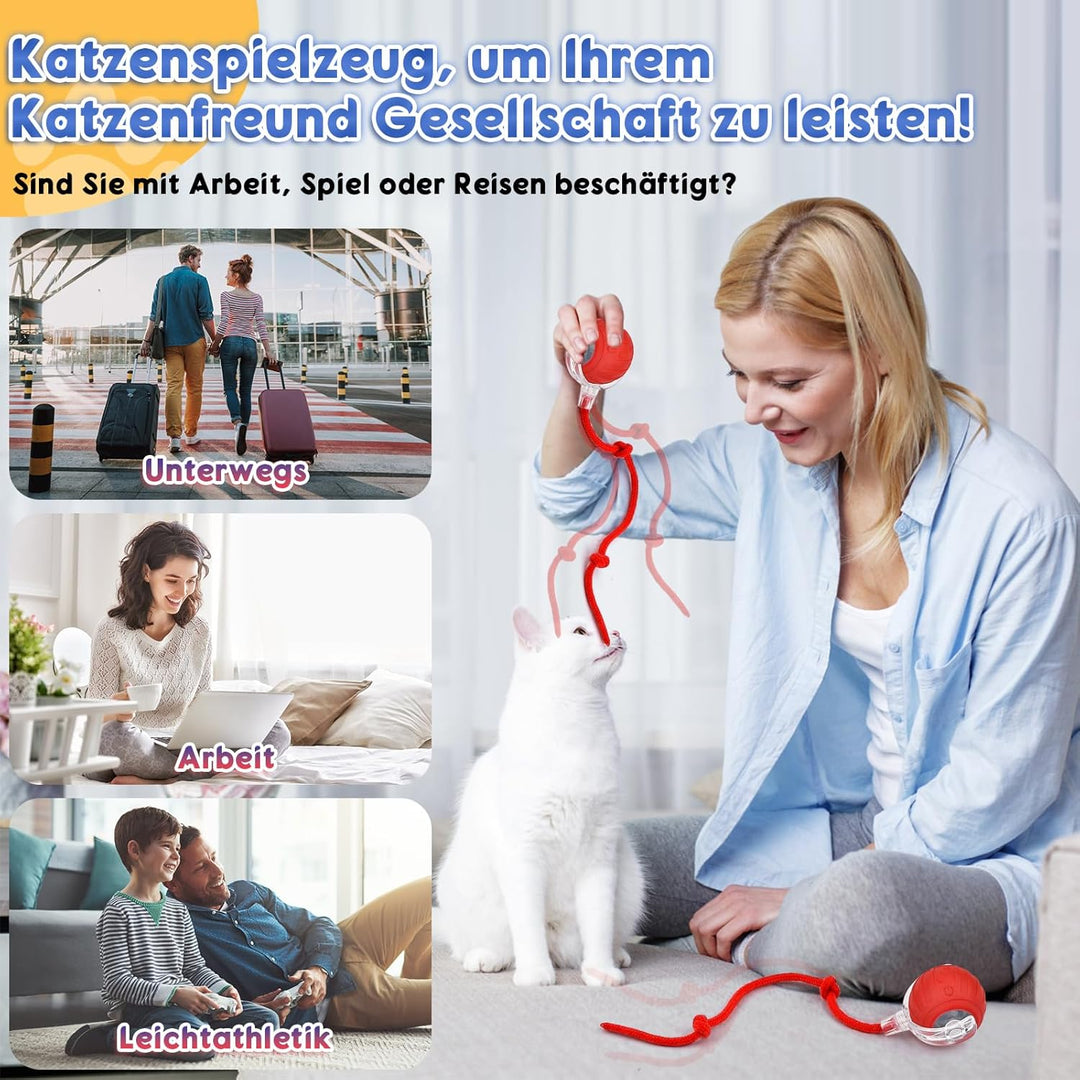 Interaktives Katzenspielzeug Ball