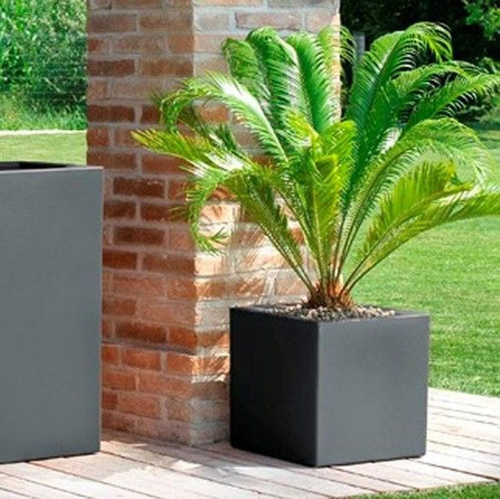 TERAPLAST Blumentopf Schio Cubo 30 cm Made in Italy recyclebar 30 cm Anthrazit, 30 cm Anthrazit