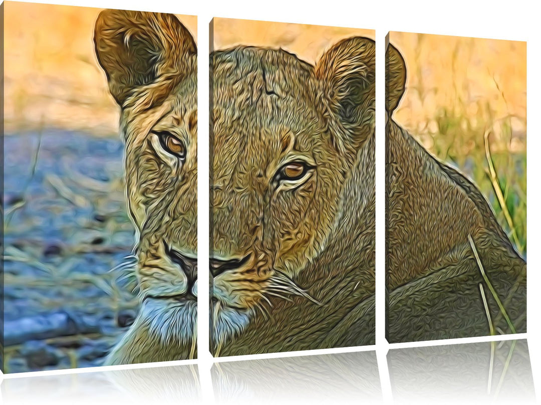 schöne Löwin im Wildgras NewArt 3-Teiler Leinwandbild 120x80 Bild auf Leinwand, XXL riesige Bilder f