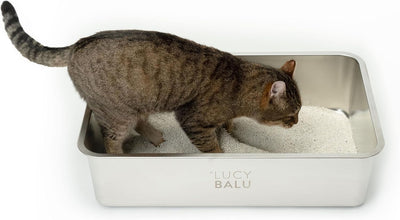LucyBalu® STEELOO Edelstahl Katzenklo geruchsfrei | XXL-Katzentoilette aus Edelstahl | offenes Katze