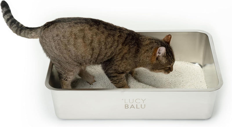 LucyBalu® STEELOO Edelstahl Katzenklo geruchsfrei | XXL-Katzentoilette aus Edelstahl | offenes Katze
