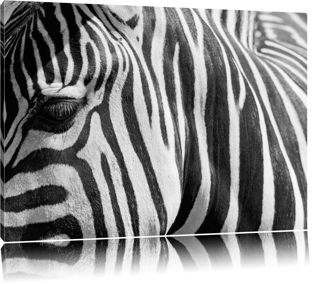 Pixxprint Zebra Porträt Format: 100x70 auf Leinwand, XXL riesige Bilder fertig gerahmt mit Keilrahme