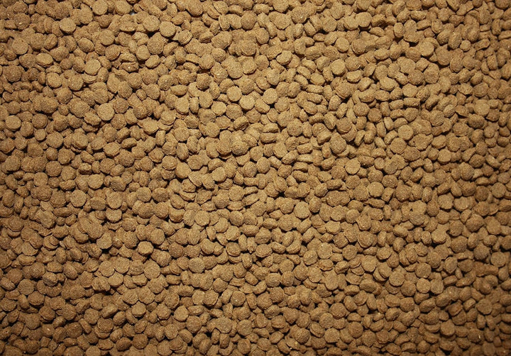 Saito Professional Koischwimmfutter, Premium Koifutter für höchste Ansprüche, für Mega Wachstum, sch