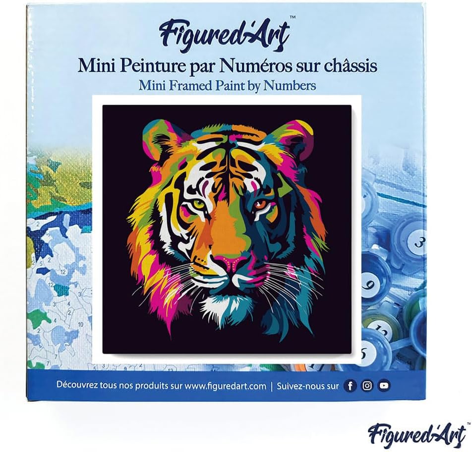 Figured'Art Mini Malen Nach Zahlen Erwachsene Mit Rahmen 20x20cm Kleines Format - Abstrakter Pop Art