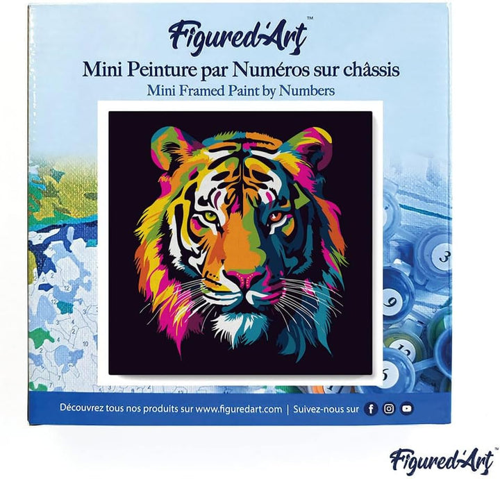 Figured'Art Mini Malen Nach Zahlen Erwachsene Mit Rahmen 20x20cm Kleines Format - Abstrakter Pop Art