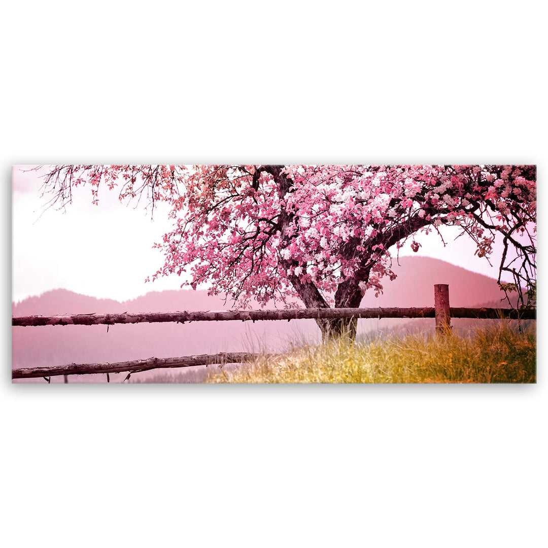 ge Bildet Bild auf Leinwand | Frühlingsbaum - Natur Baum Rosa Pink A in 120x50 cm als Panorama Wandb
