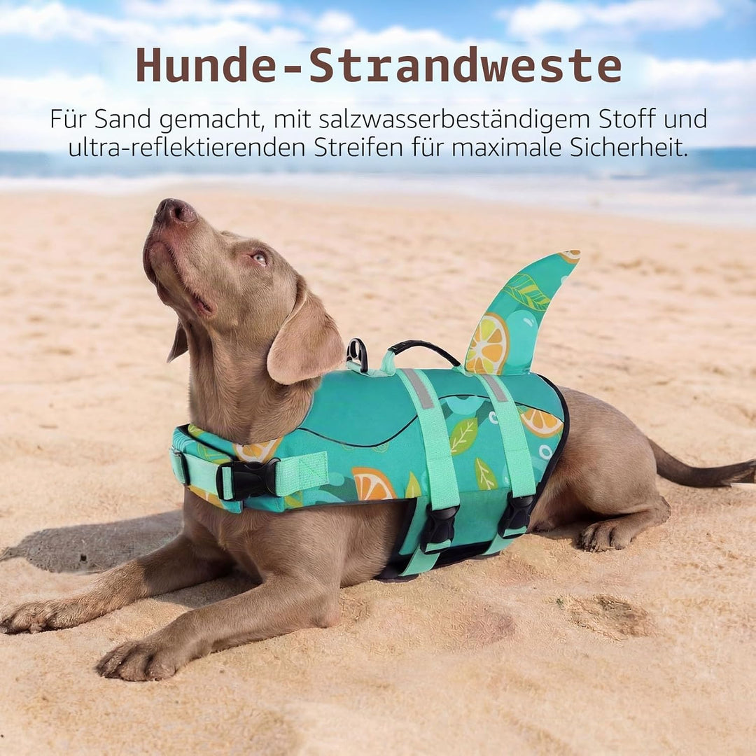 CITÉTOILE Schwimmweste Hunde Hai, Leicht und Sicher für Wassersport, hundeschwimmweste mit Griff und