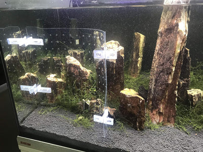BEGONDIS Trennwande für Aquarien für Mischzucht aus PET/PETP, Aquarium Fish Tank Divider. 3030, 3030