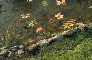 Schutznetz Grösse 4 x 25 m, Schutz vor Vögeln, Laub im Teich, vielseitig, grün, Maschenweite 12 mm,