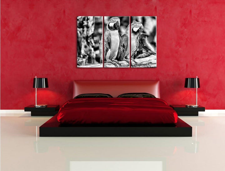 Zwei Papageien als Leinwandbild | Grösse: 3 Teilig (120x80) | Wandbild| Kunstdruck | fertig bespannt