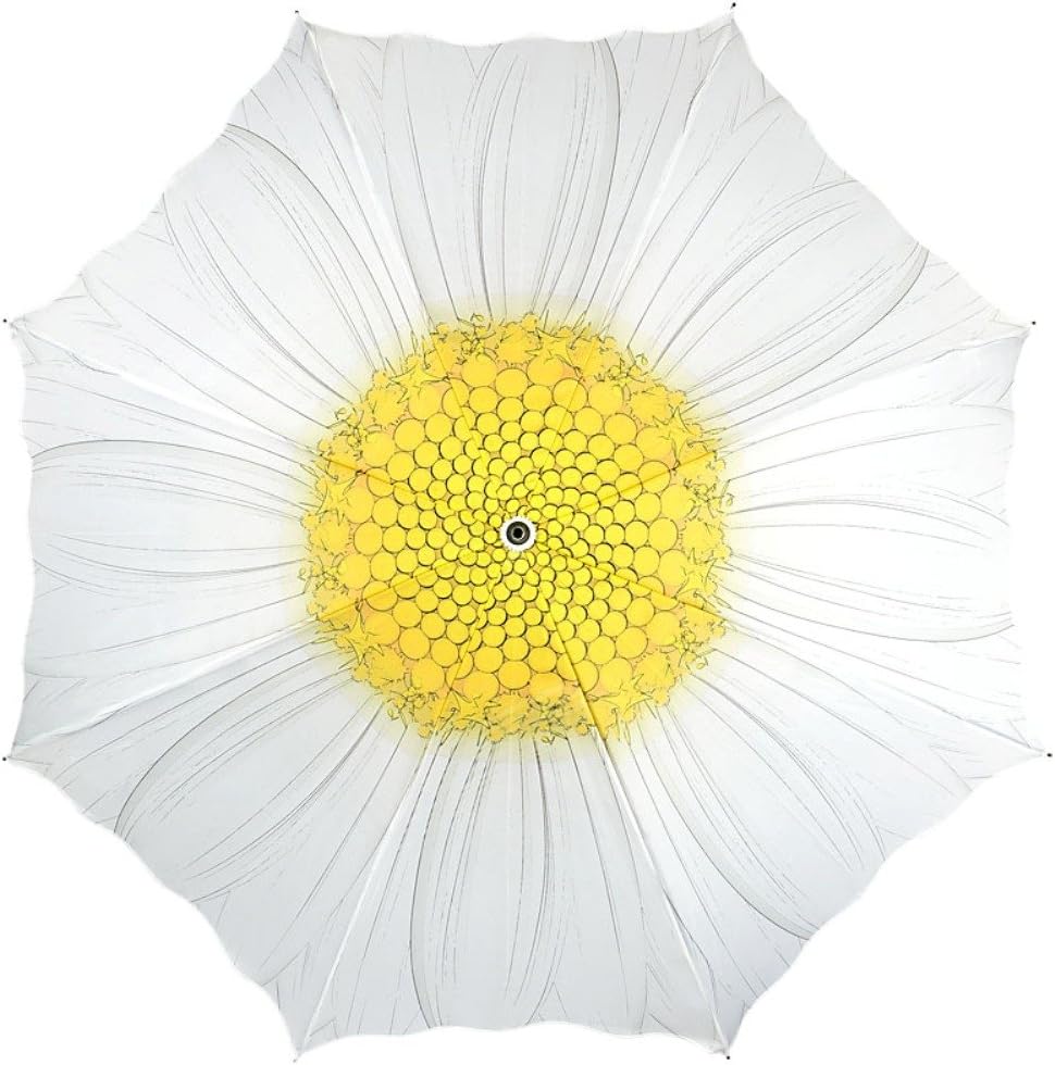 VON LILIENFELD® Regenschirm Margerite Blume Auf-Automatik Hochzeitsschirm Stockschirm Stabil