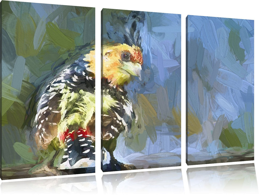 schöner Hauben-Bartvogel NewArt 3-Teiler Leinwandbild 120x80 Bild auf Leinwand, XXL riesige Bilder f