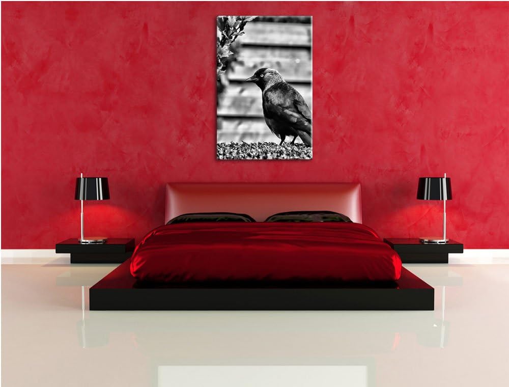 Pixxprint Vogel auf Gartenwiese / 100x70cm Leinwandbild bespannt auf Holzrahmen/Wandbild Kunstdruck