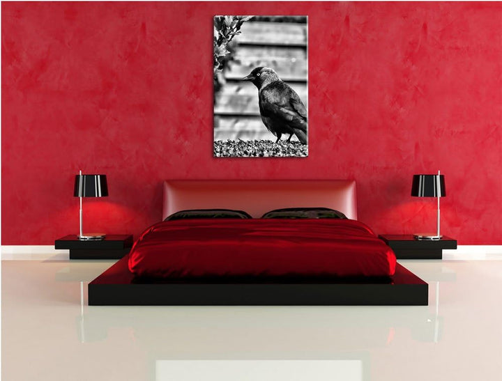 Pixxprint Vogel auf Gartenwiese / 100x70cm Leinwandbild bespannt auf Holzrahmen/Wandbild Kunstdruck