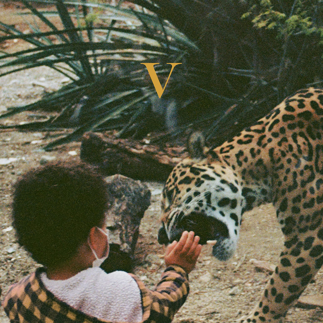 V, Vinyl