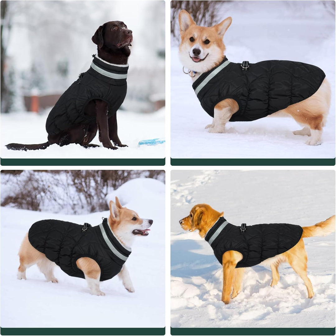 Kuoser Winter Hundejacke für mittelgrosse Hunde, Wasserdichter &amp; Winddichter Hundemantel mit Fleecef