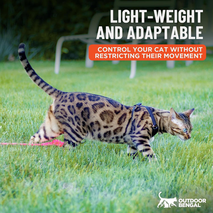 OutdoorBengal Katzengeschirr und Leine, gross, ausbruchsicher, erstickungsfrei, leicht, einfach anzu