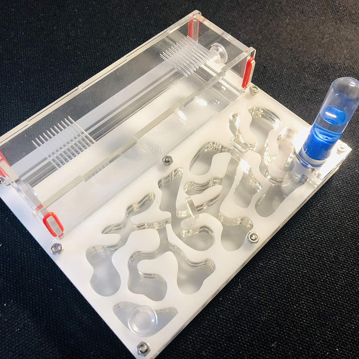 Ant Farm Educational Formicarium für LIVE Ameisen Reagenzglas Feuchtigkeit grosser Raum Acryl Ameise