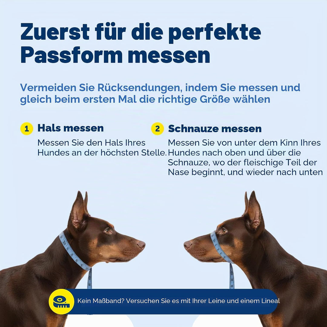 PetSafe Sanfter Führer Halsband mit Trainings-DVD schwarz Medium, schwarz Medium