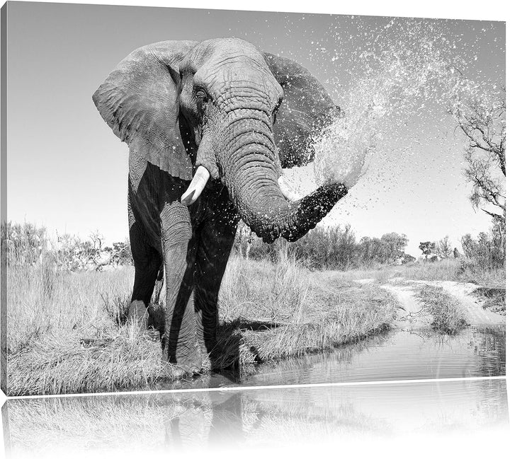 Pixxprint schöner Elefant spritzt mit Wasser Kunst B&W, Format: 100x70 auf Leinwand, XXL riesige Bil