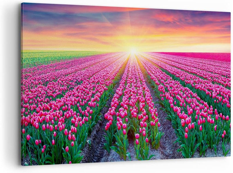 Bilder auf Leinwand 100x70cm Leinwandbild Wiese Tulpen Sonnenuntergang Frühling Gross Wanddeko Bild