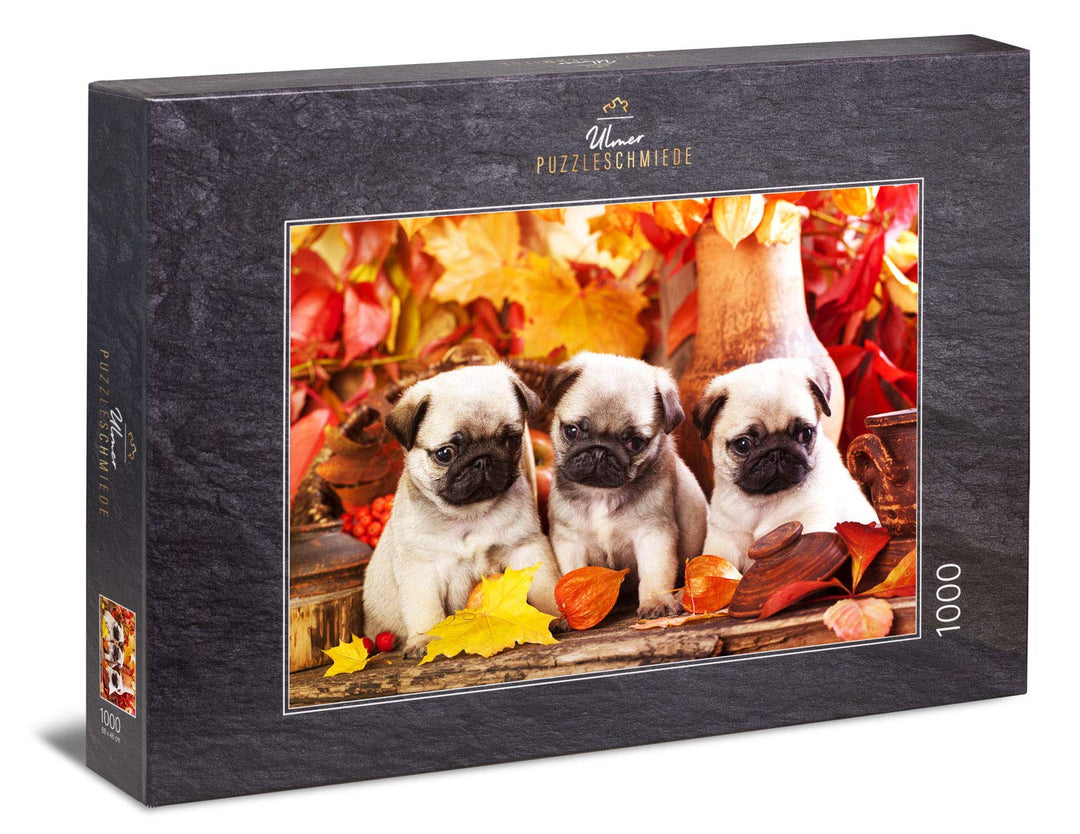 Ulmer Puzzleschmiede - Puzzle „Welpen-Glück“ - Klassisches 1000 Teile Tier-Puzzle – Puzzlemotiv drei
