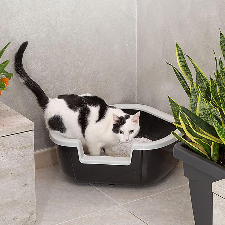 Ferplast Ecktoilette für Katzen offene Katzentoilette DAMA Eckkatzentoilette, widerstandsfähiger Kun
