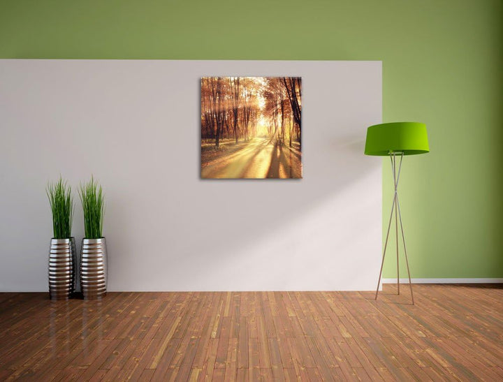Baumallee im Herbst, Format: 70x70 auf Leinwand, XXL riesige Bilder fertig gerahmt mit Keilrahmen, K